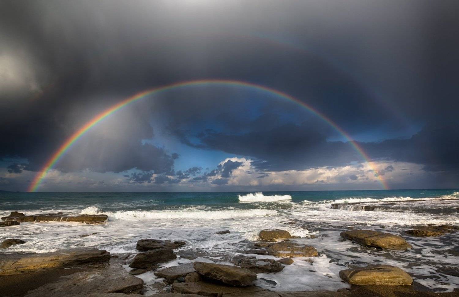 , Людмила Прокофьева