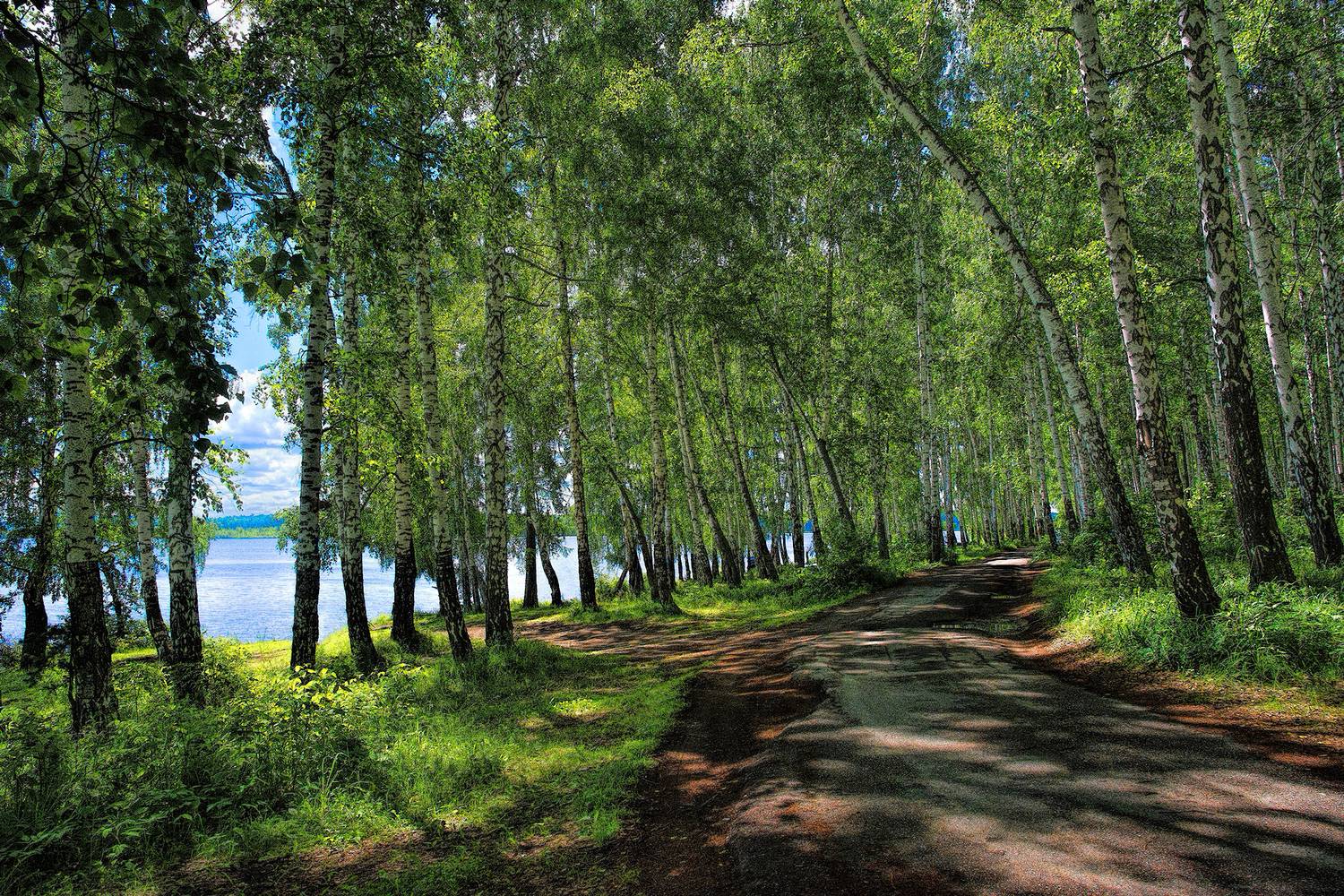 , Vladim Bormotov