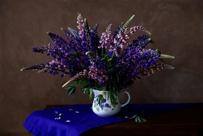 Still life, Flowers, Lupines, Purple, Colors Люпины фото превью