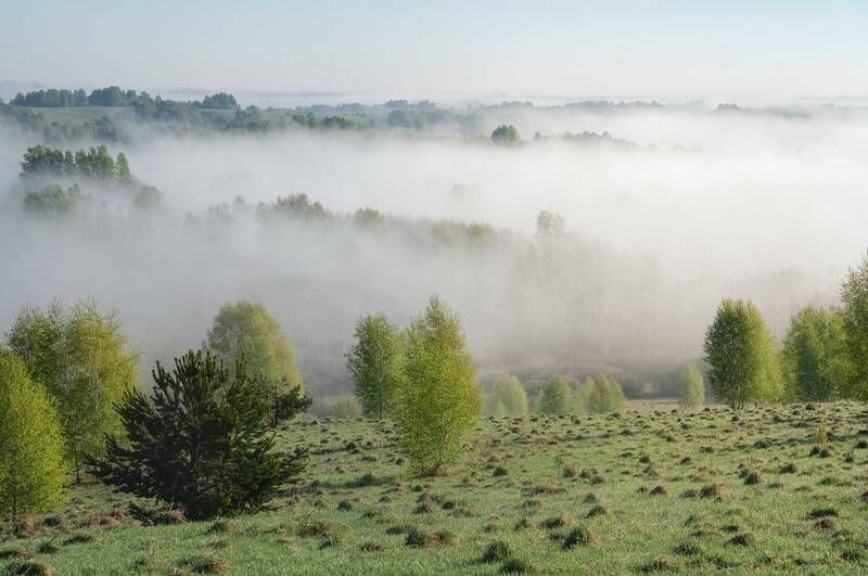 Весенний туман над пашнями Алтайского края… Spring fog over the arable land of the Altai Territory... фото превью