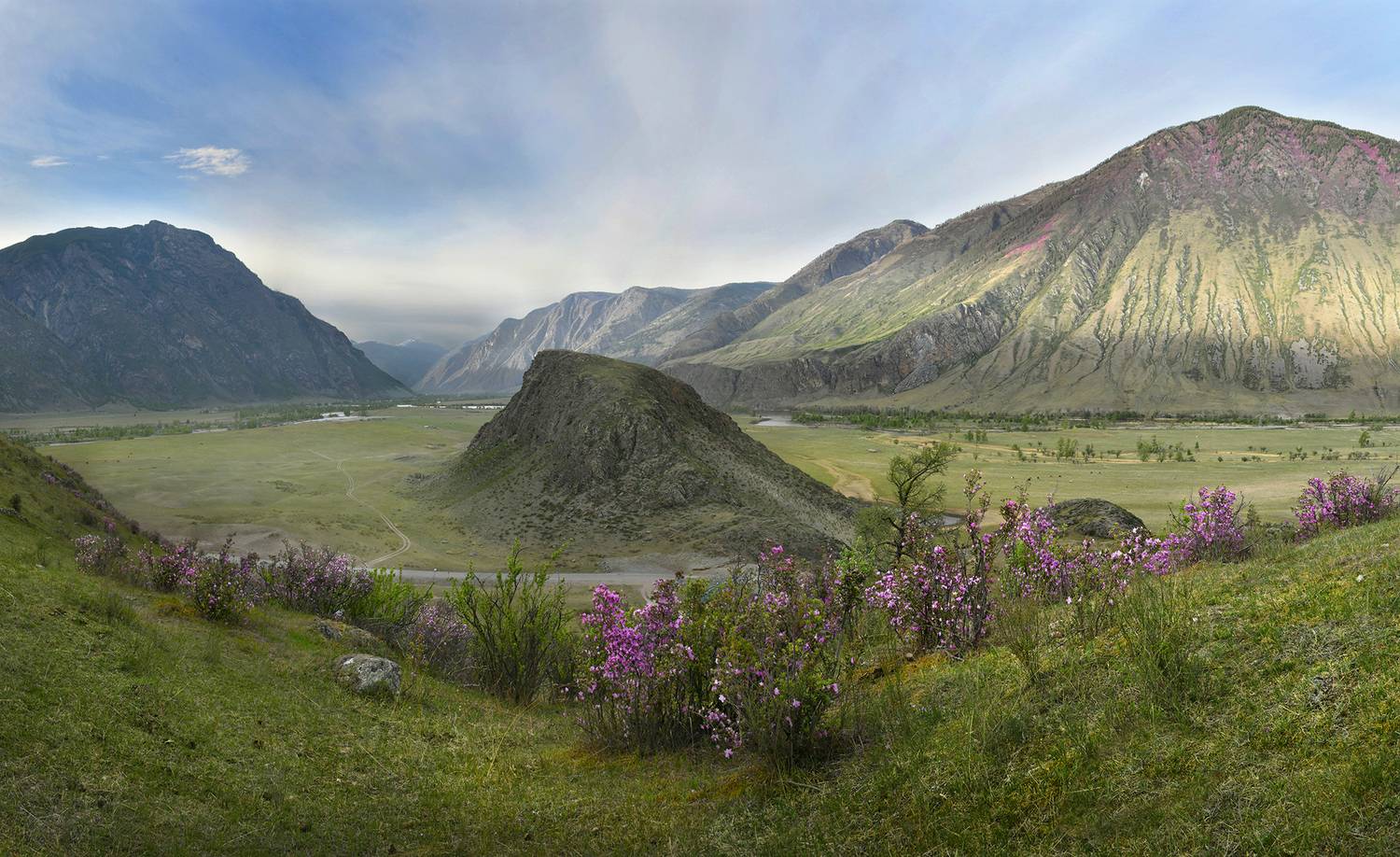 , Крат Светлана
