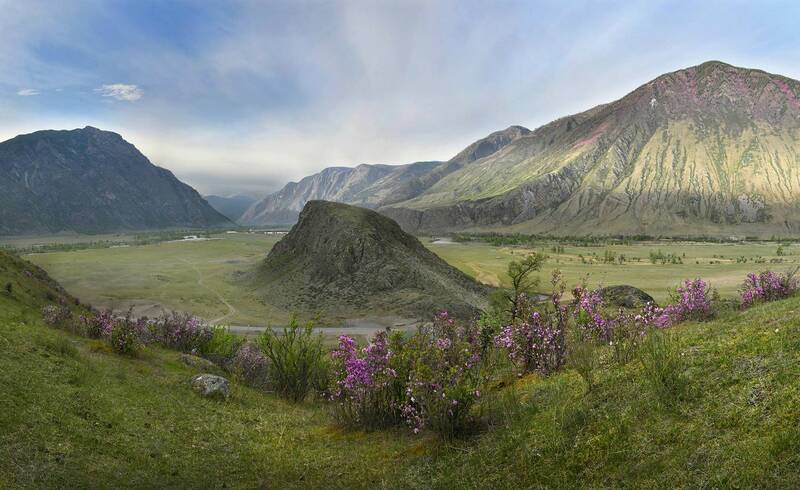 Весна на Алтае фото превью