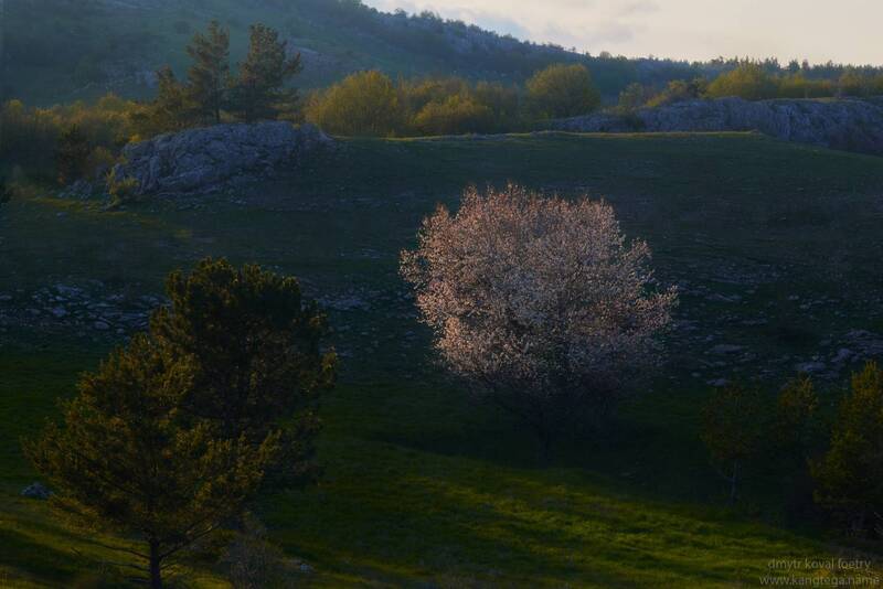 Жемчужина Весны Ай-Петринской яйлы … фото превью