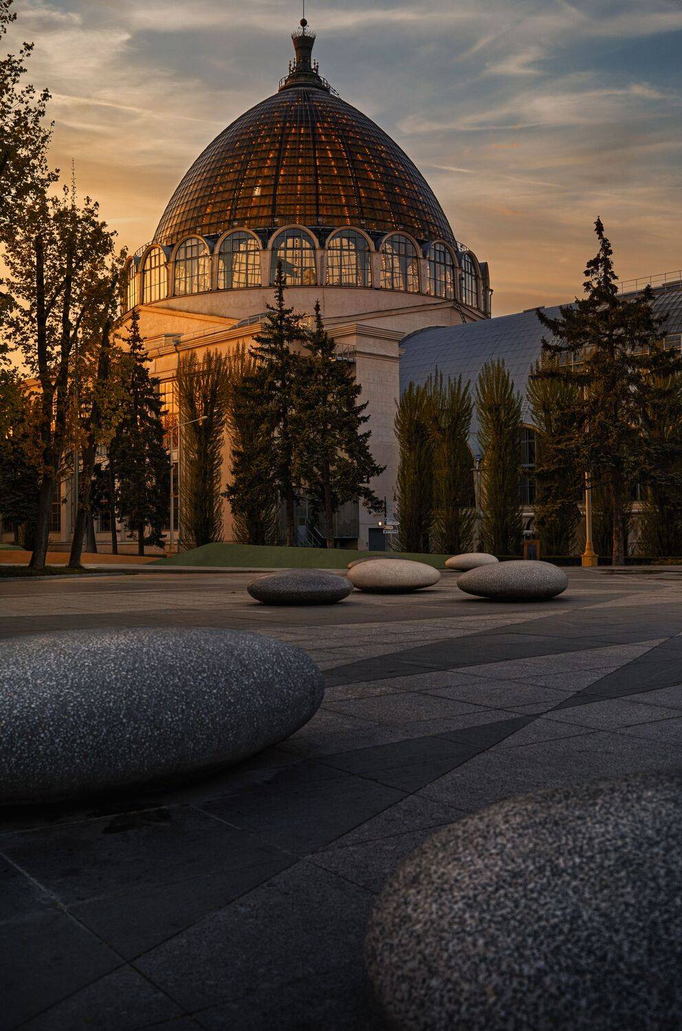 , Mike Danilov
