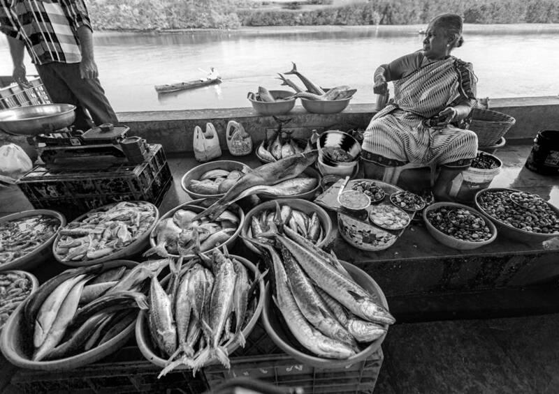 Рыбный день фото превью