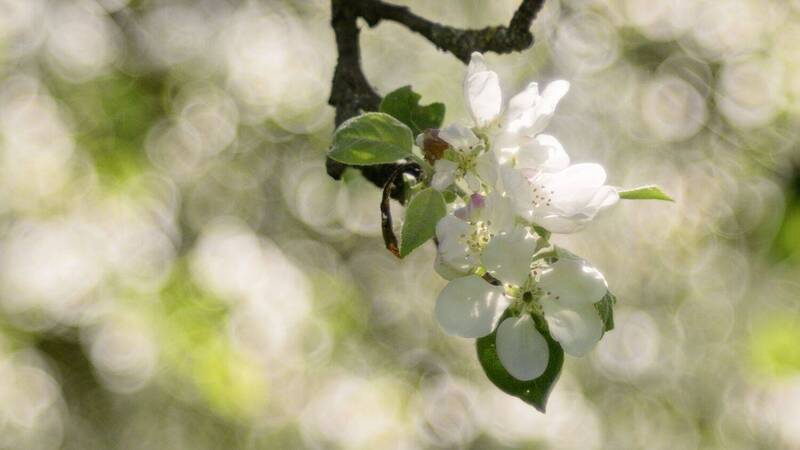 May фото превью