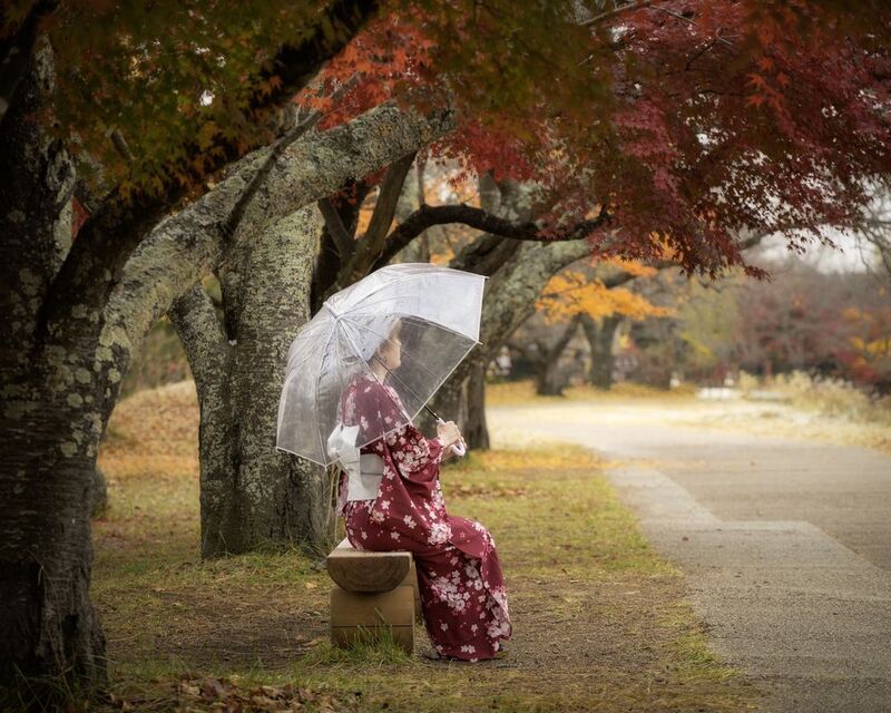 Momiji фото превью