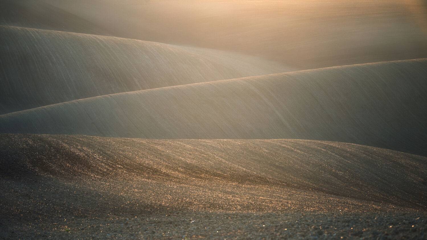 field, sprin, sunset, Samochin Milan