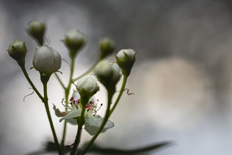 Fragile фото превью