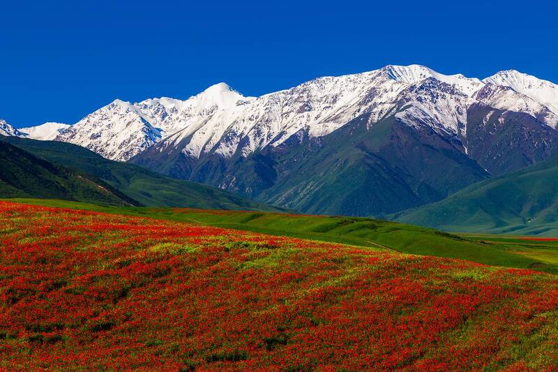 кыргызстан Краски мая фото превью