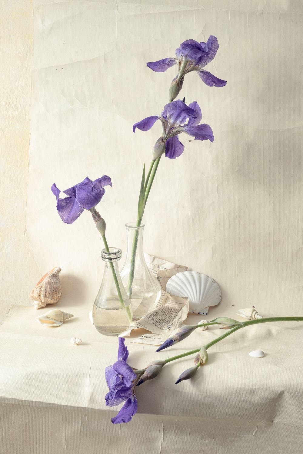 , Julia Vikhrova