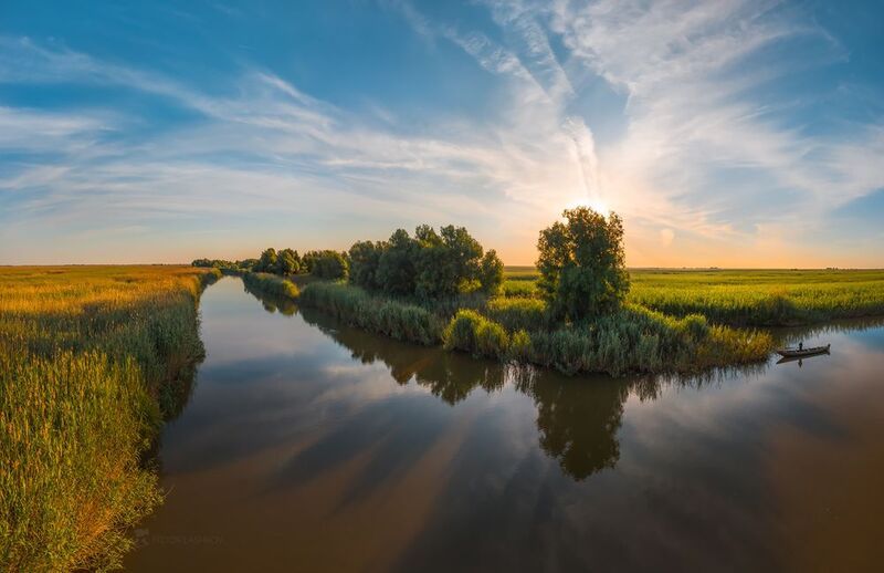 астраханская область, река, вода, волга, заповедник, астраханский государственный биосферный, лето, летний, солнце, речное, днём, облака, закат, дерево, отражение, пеликан, баклан Лето на Волге фото превью