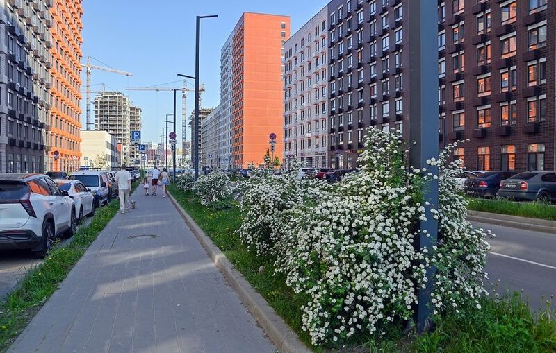 На улицах Новой Москвы фото превью