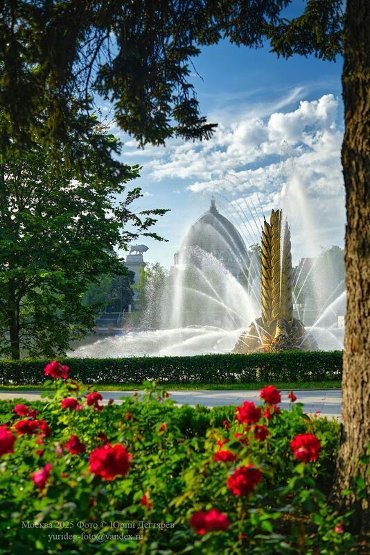 Москва, ВДНХ, фонтан, Золотой, Колос, фонтаны, павильон, Космос, лето, розы, цветы Москва. Фонтан \\\