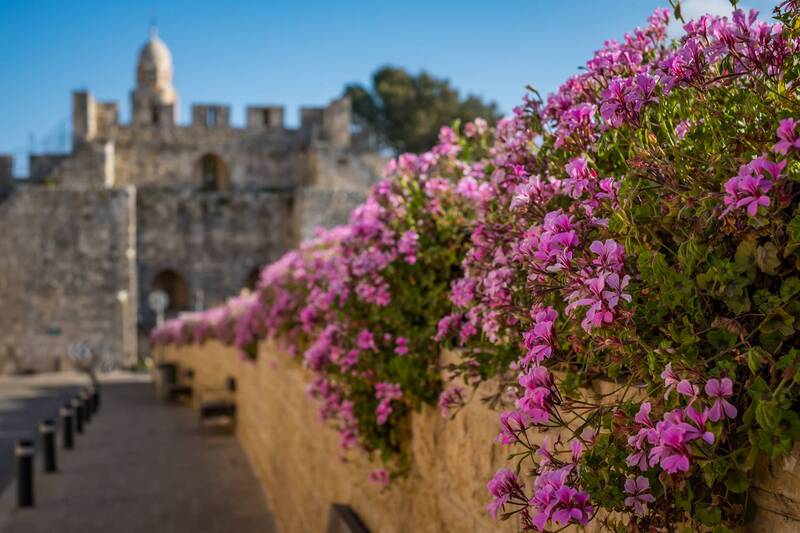 Old City of Jerusalem фото превью