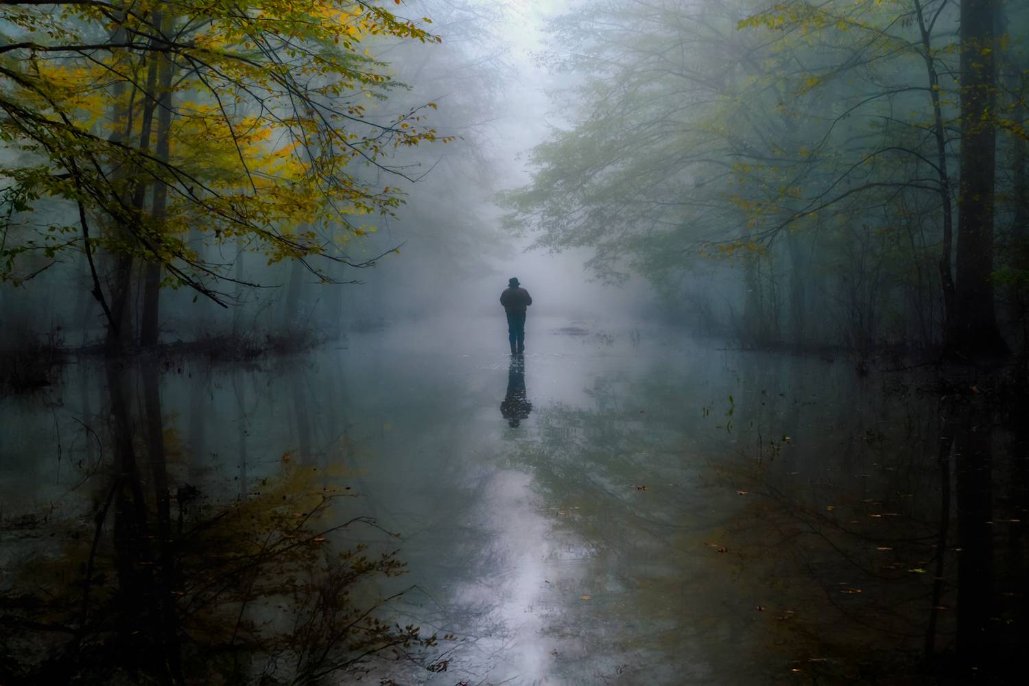 landscape, forest, croatia, reflection, wet, trees, mud, earth, soil, sky, water, fog, man, walking, walk, landscapes, woods, forrest, foggy, mist, haze, person, people, nature, autumn, fall, Jubic Srecko