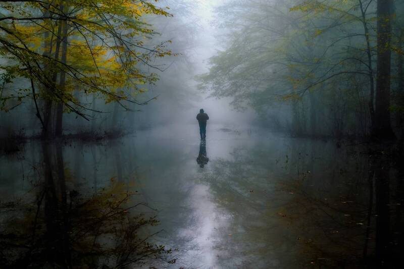 landscape, forest, croatia, reflection, wet, trees, mud, earth, soil, sky, water, fog, man, walking, walk, landscapes, woods, forrest, foggy, mist, haze, person, people, nature, autumn, fall Walking on water фото превью
