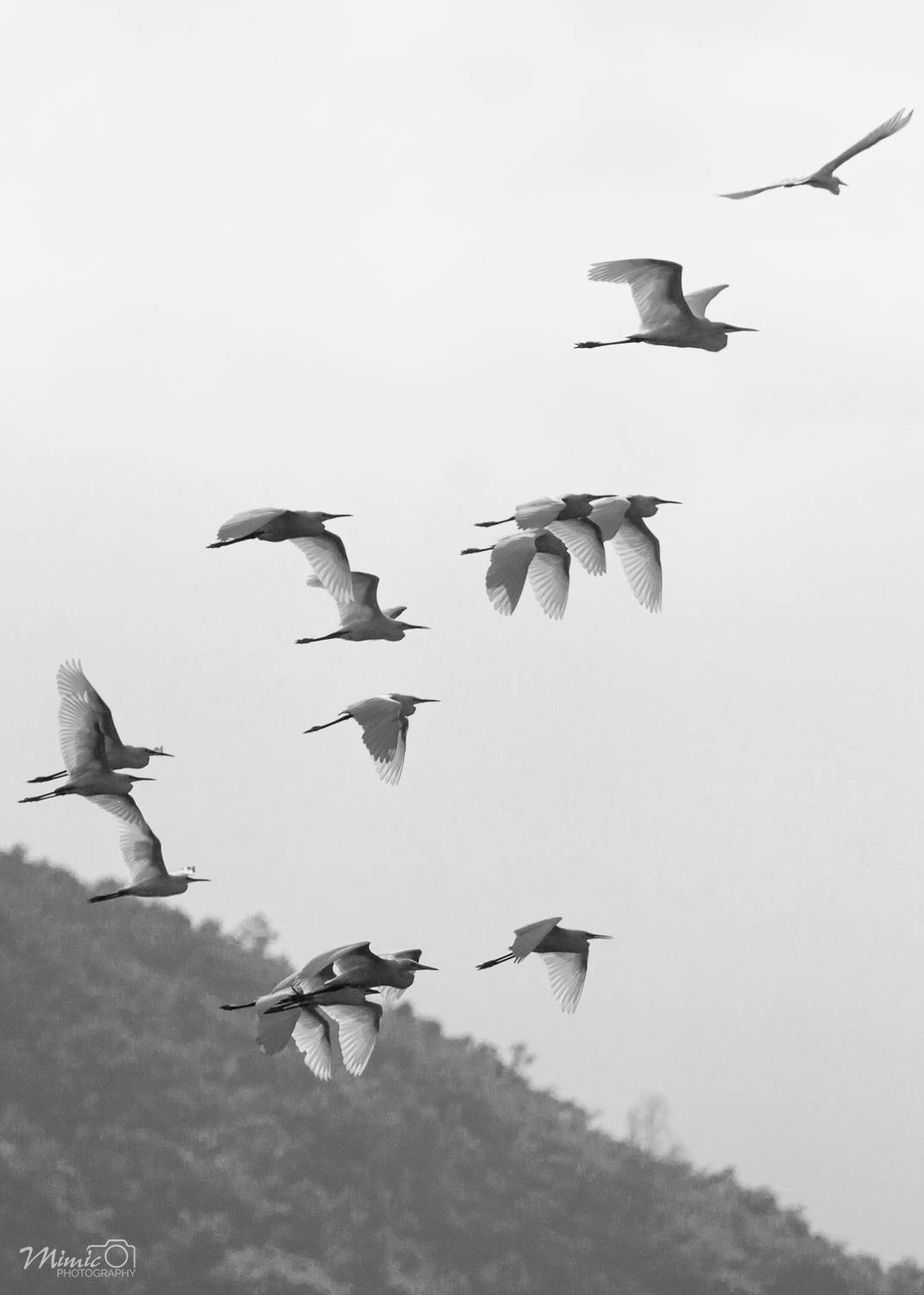 nikon d750, 80-400mm D VR, L&ecirc; Minh Hiếu