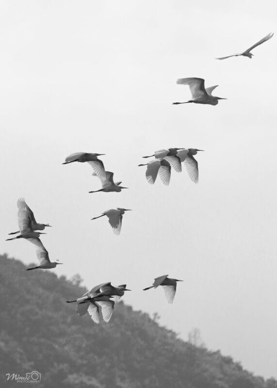 nikon d750, 80-400mm D VR  фото превью