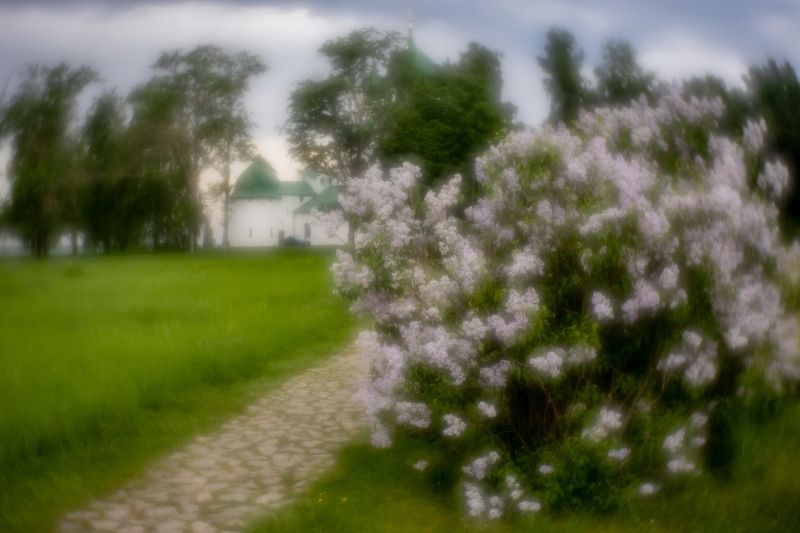 На поле Куликовом фото превью