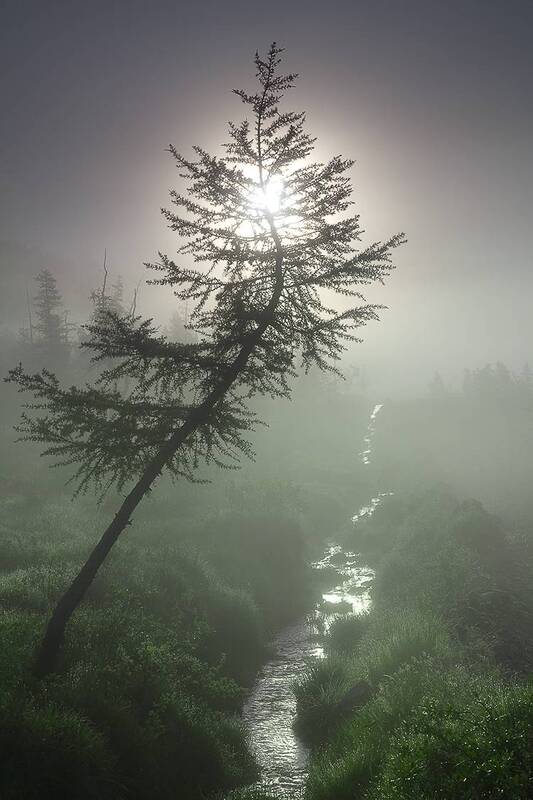 сибирь, восточные саяны. Саянское утро 3. фото превью