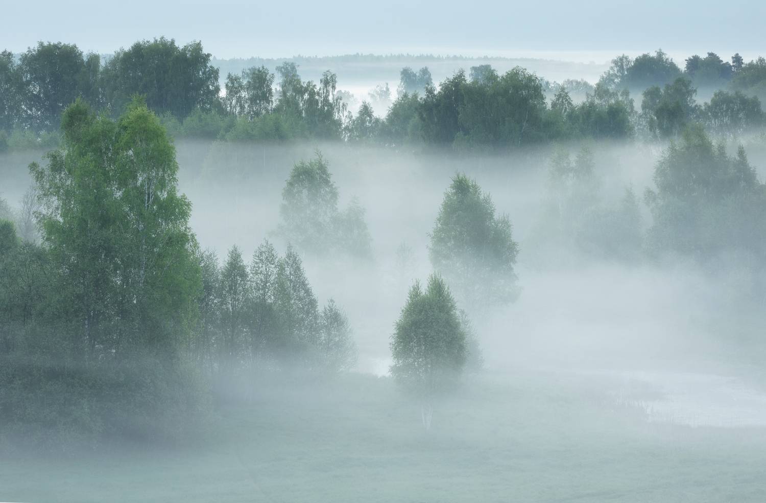, Бонина Ольга