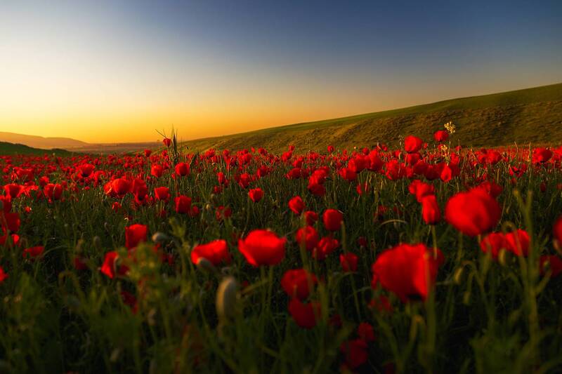кыргызстан Мелодия вечера фото превью