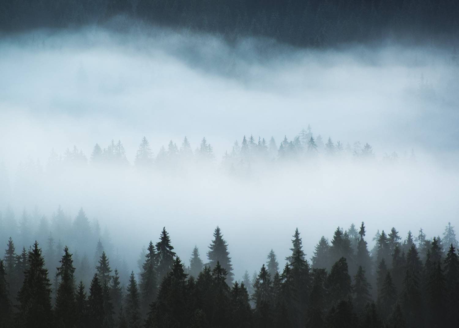 , Stefan Chirobocea