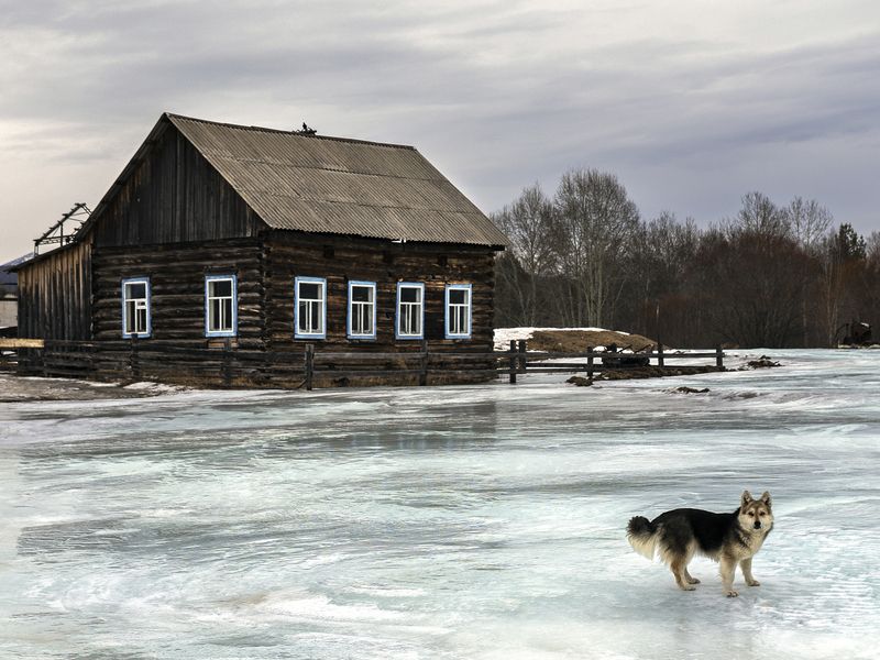 Ледяной плен фото превью