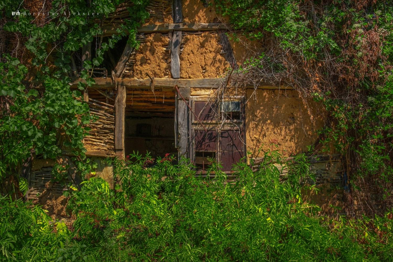 Green. Автор: Алексиев Борислав old, building, green, orange, nature, Алексиев Борислав