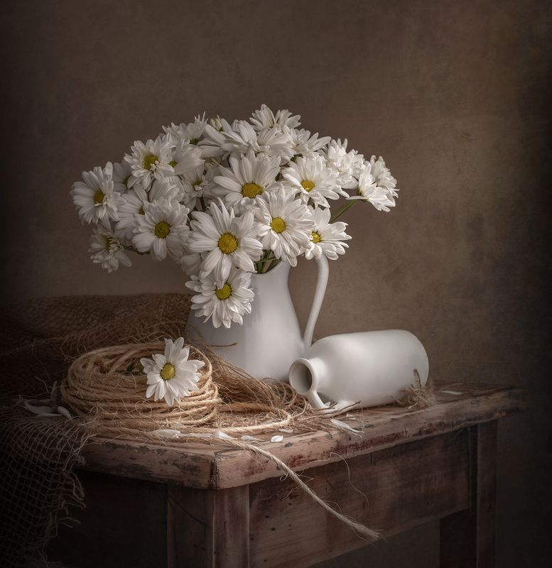 Still life, Chrysanthemum, light, white, texture Chrysanthemum фото превью