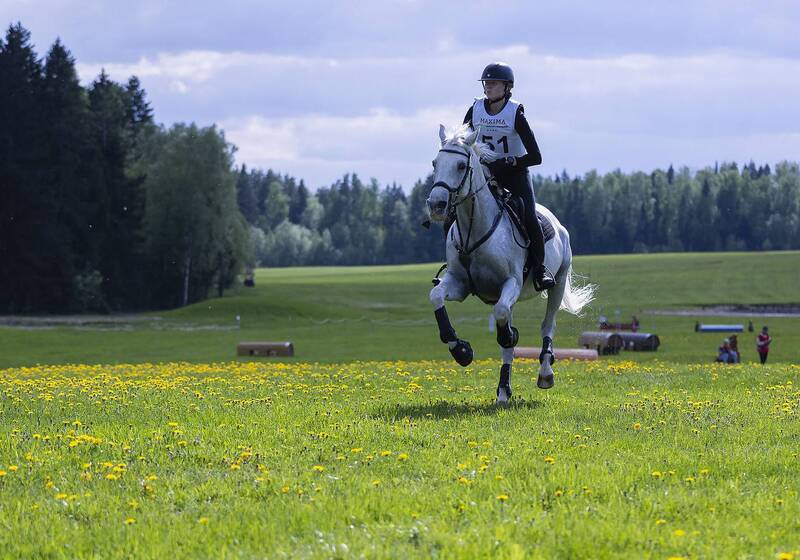 соревнования, троеборье, спорт, competition, horse, movement, sport В ритме троеборья фото превью