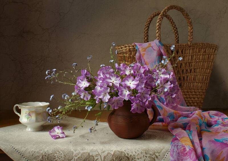 Примула фото превью