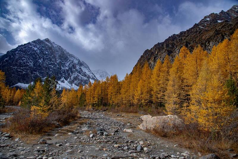 алтай, осень, горы Долина Актру фото превью