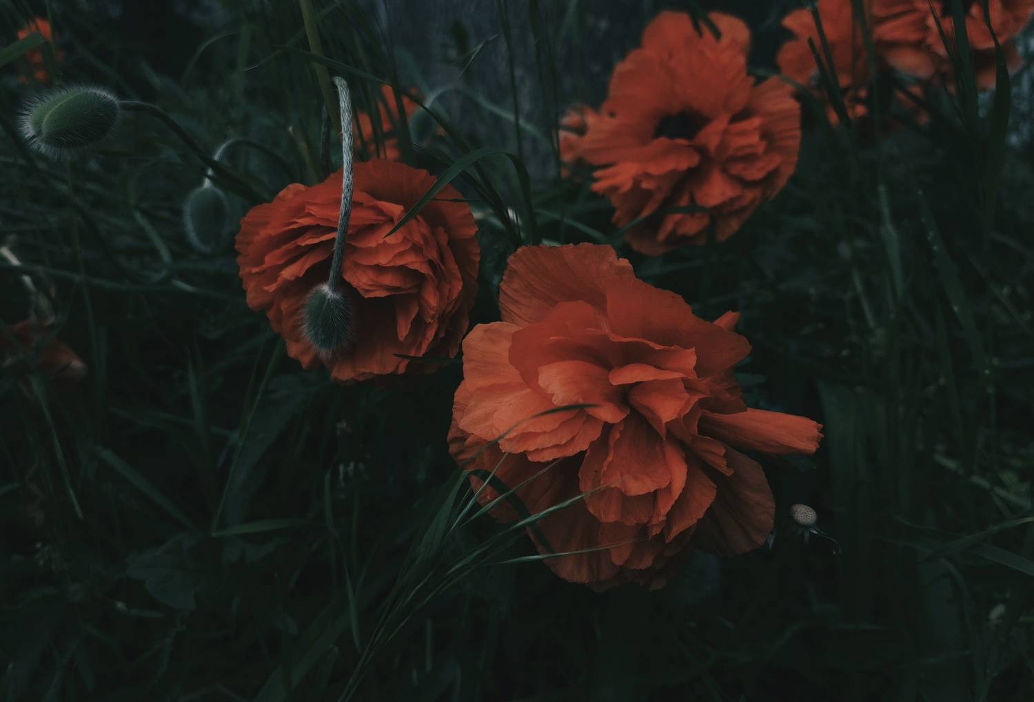 , Юлияна Стоянова