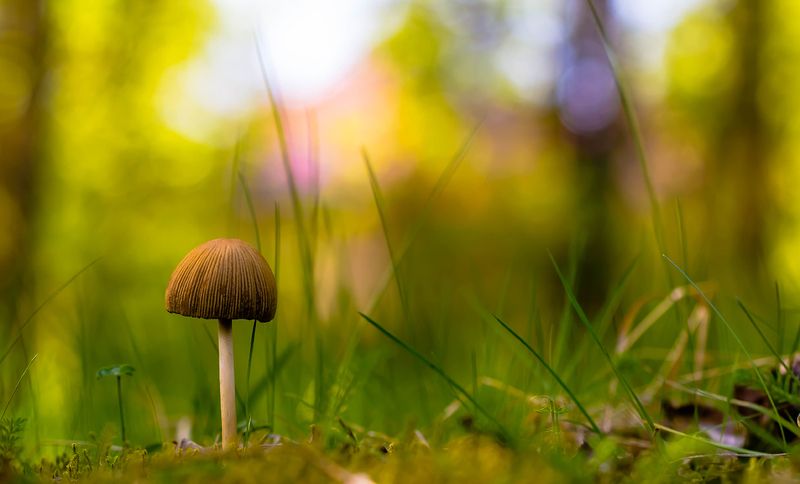 .... фото превью