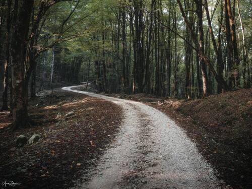 The Road
