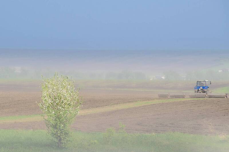 весна, май, село, посевная, туман Дымка... фото превью