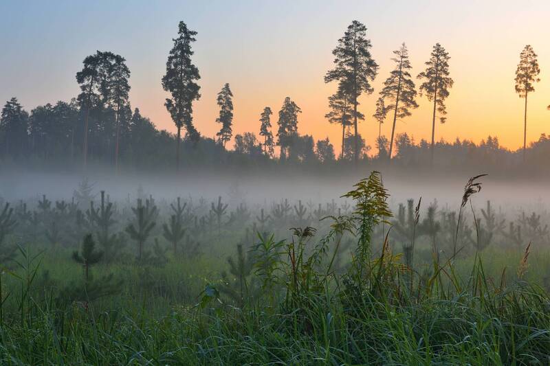 Осенний рассвет... фото превью