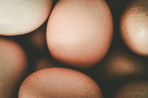 Eggs