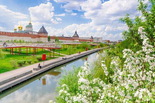 Тула цветущая.