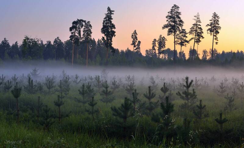 Утром осенним... фото превью