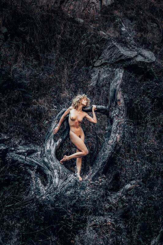 The Last Dryad фото превью