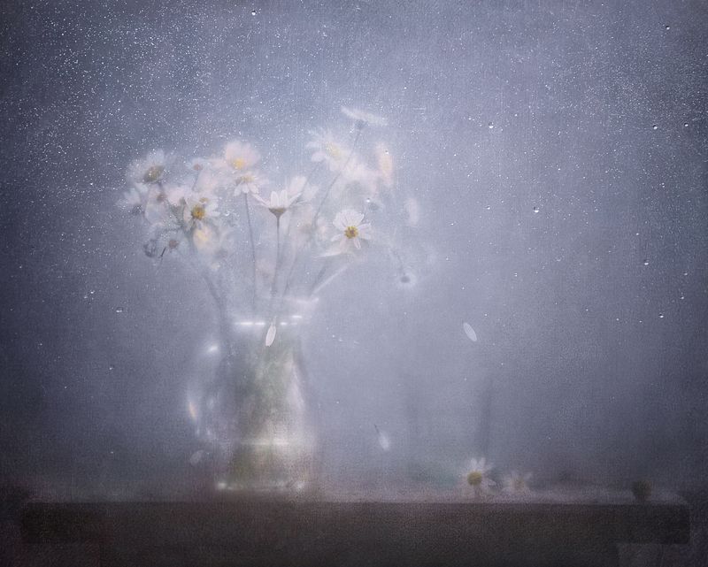 натюрморт, лето, ромашки, букет, капли, настроение, прохлада, still life, summer, rainy mood, flowers, water drops, минимализм, minimalistic, summer rain Облако ромашек полевых  фото превью
