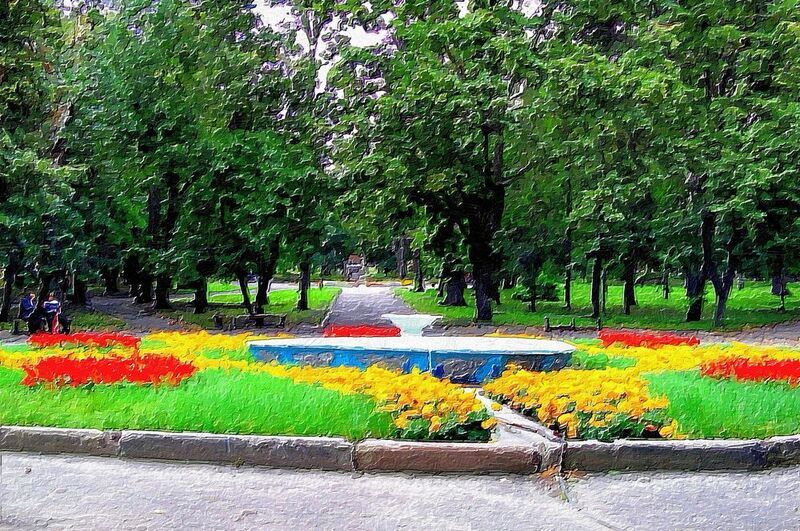фото превью