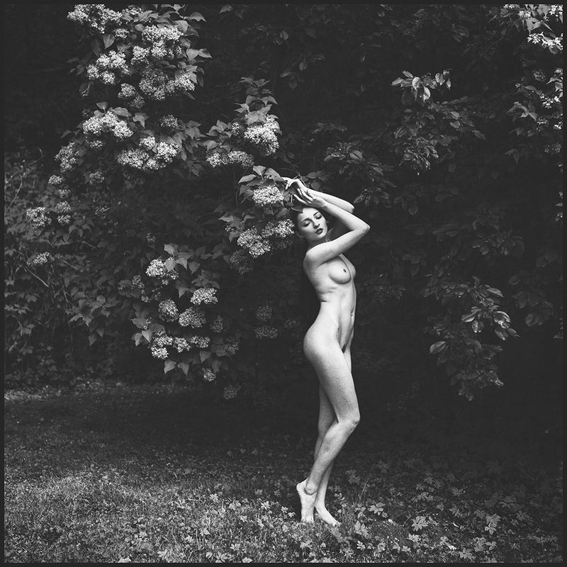 nude, girl, garden, blackwhite in my garden  фото превью