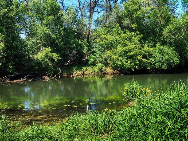 Green river фото превью