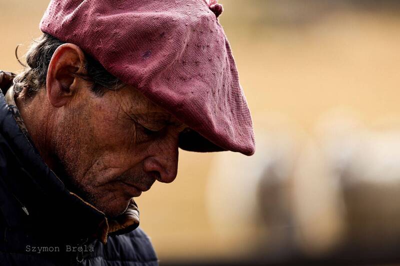 Gaucho фото превью