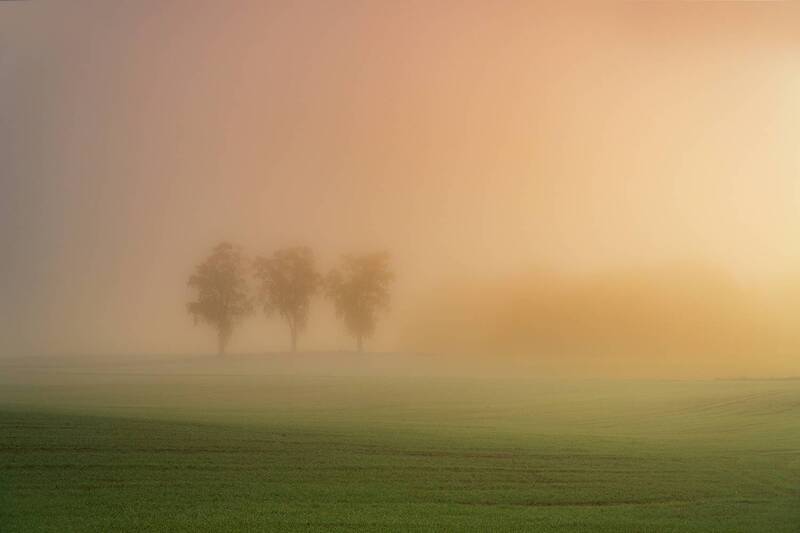 drzewa, wioska, jesień, wschód słońca, polska, landscape Tree\\\'s фото превью
