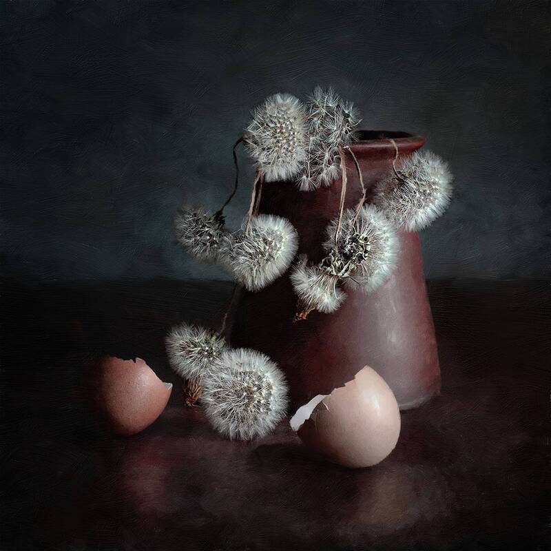 Vanitas фото превью
